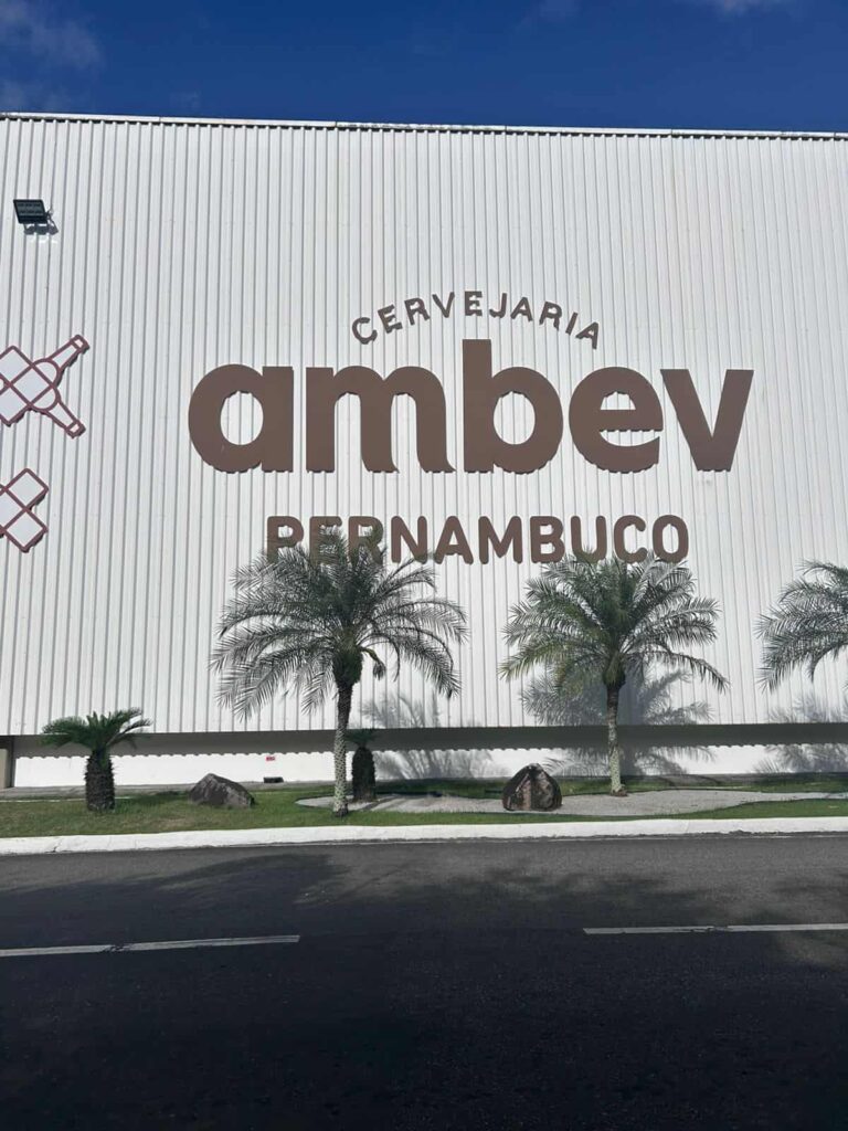 WhatsApp Image 2025 11 12 at 16.29.09 1 1